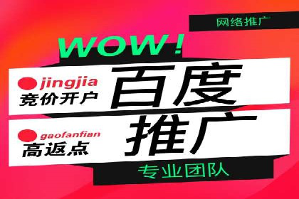 SEM托管服务，成功案例见证转化奇迹